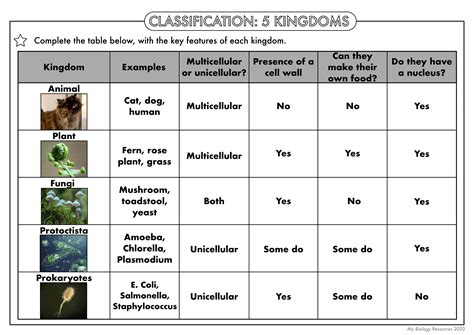 biological classification taxonomy worksheet answer key